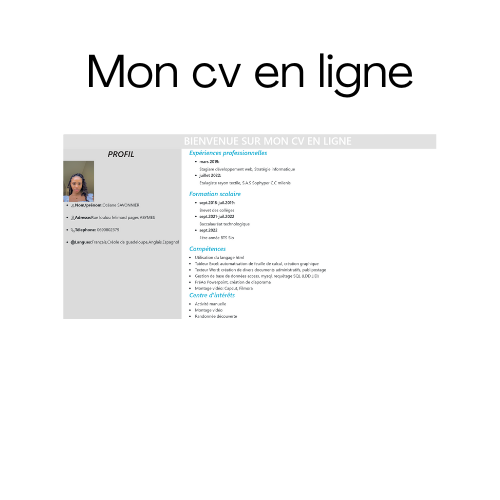 Mon cv en ligne